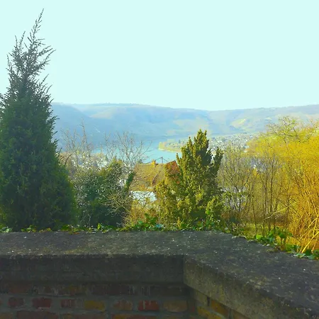 Little Rhine View Chateau - Eg דירה בופארד