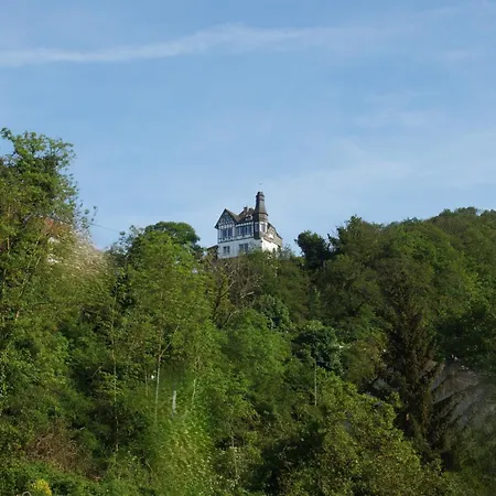 Little Rhine View Chateau - Eg شقة بوبارد