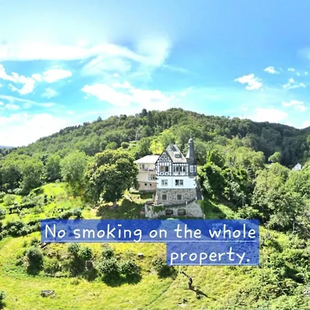 Little Rhine View Chateau - Eg شقة *