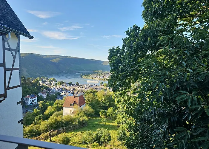 Little Rhine View Chateau - Eg 公寓 博帕德