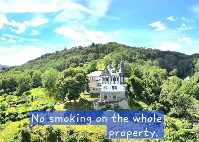 Little Rhine View Château - Eg Apartment *