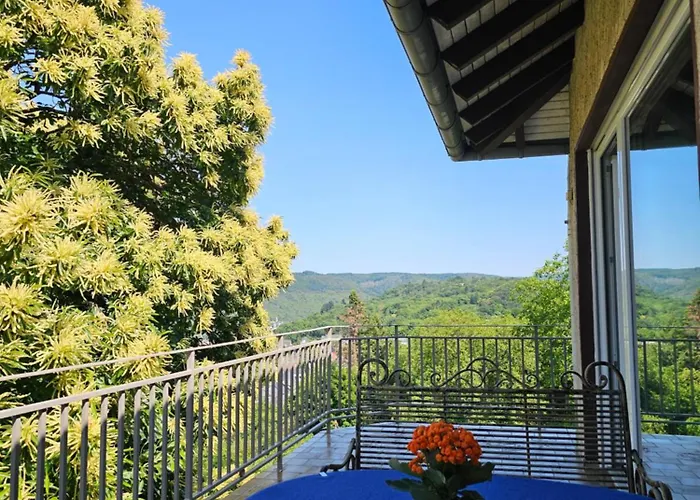 Little Rhine View Chateau - Eg