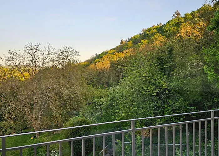 Little Rhine View Chateau - Eg